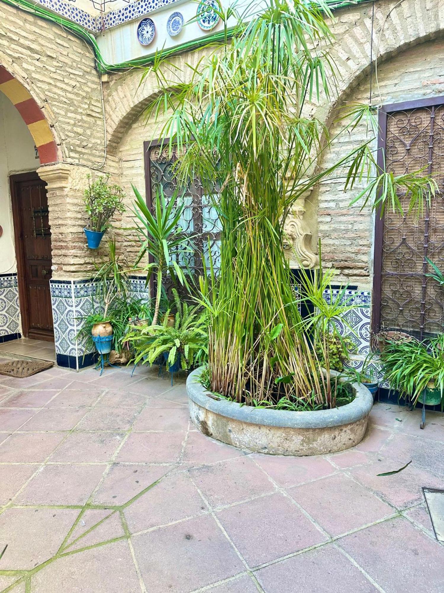 Apartamento Tradicion De La Corredera Cordoba Exterior photo