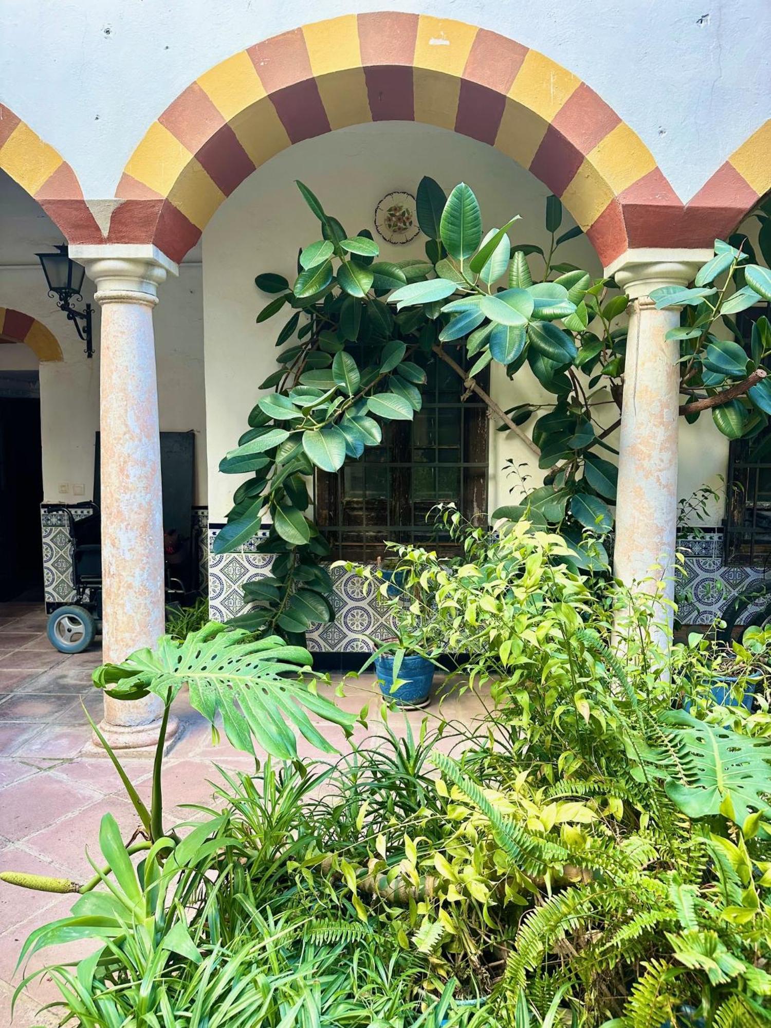 Apartamento Tradicion De La Corredera Cordoba Exterior photo